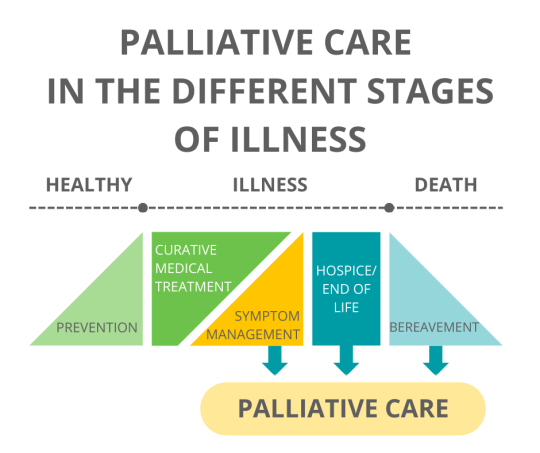 Palliative-Care-2.png