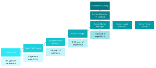 Staff-Nurse-career-progression.png