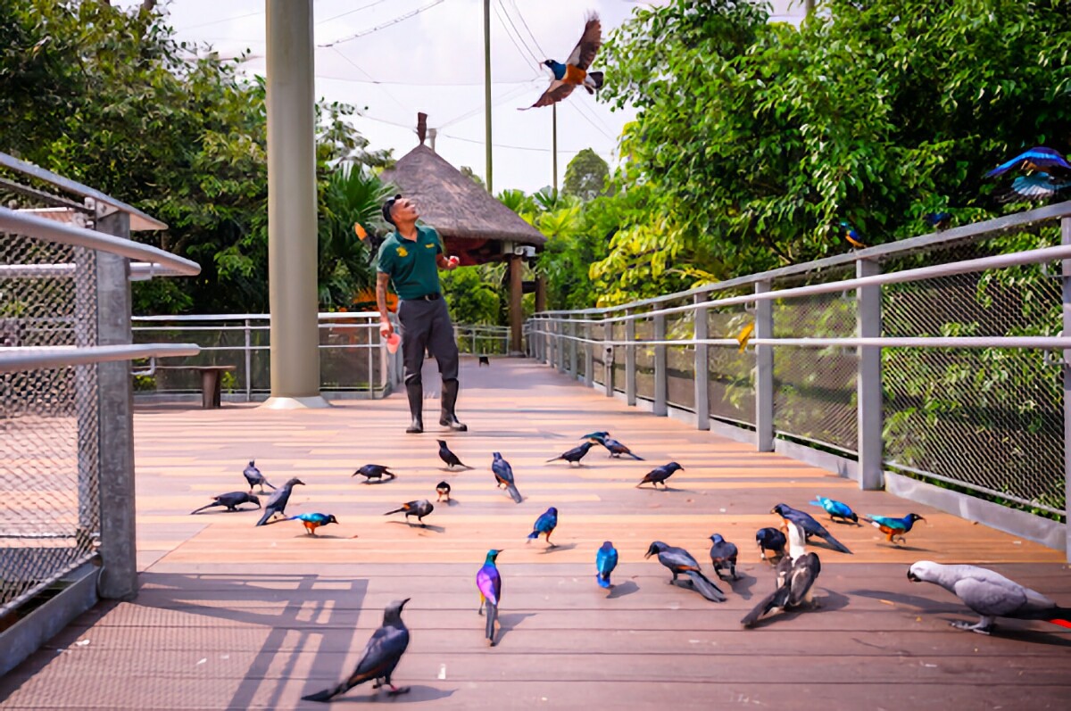 Bird-Paradise.jpg