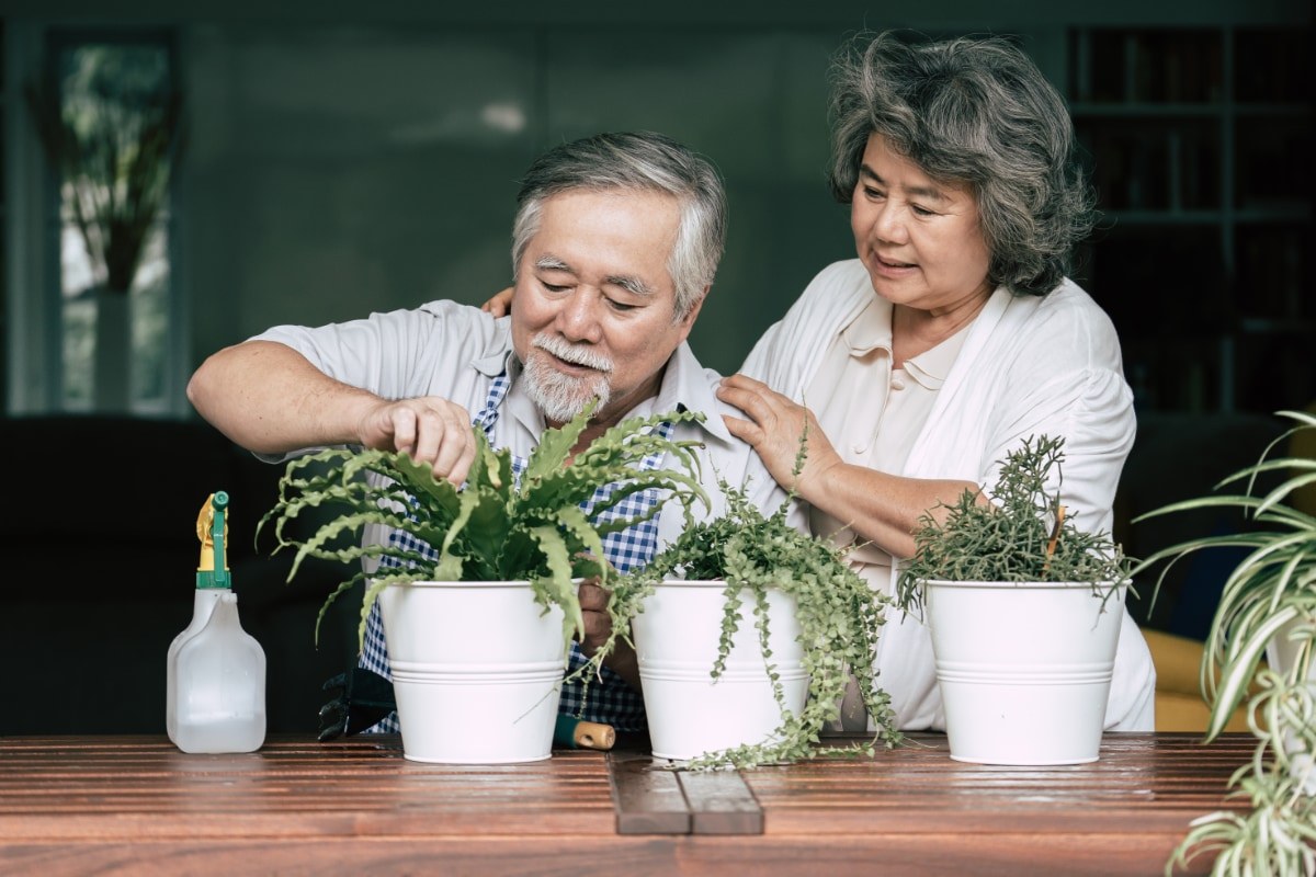 dementia-care-at-home-3.jpg
